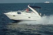 buy Doral 250 SE Platinum series boats