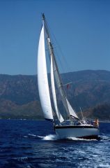 Trident Warrior 40 Sail Boat For Sale
