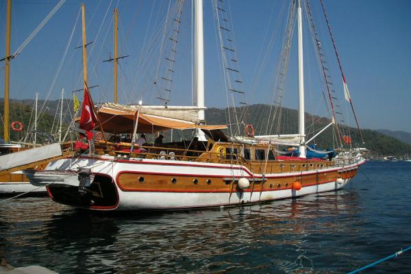 Thompson Boat Models