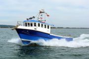 Cygnus Cyfish 33 Power Boat For Sale