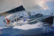 Van der Stadt Samoa 48 Sail Boat For Sale