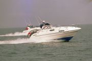 Sealine 310 Ambassador Power Boat For Sale