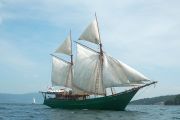 Bugis Pinisi Schooner Sail Boat For Sale