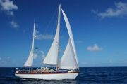 Boudignion Flamand 8 Sail Boat For Sale