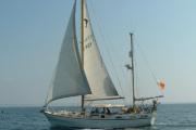 Salar Buccaneer Sail Boat For Sale