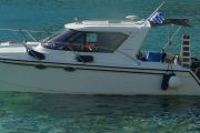 Arrowcat 30 Power Boat For Sale