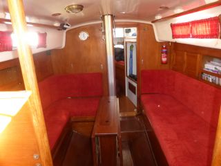 buying Contessa 32 For Sale
