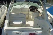 Sea Ray 240 DA Power Boat For Sale