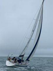 buy Sweden 38 For Sale