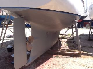 buying Trintella  IV For Sale