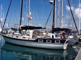 buying Trintella  IV For Sale